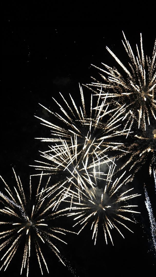 1290x2796 a bunch of fireworks are lit up in the night sky -  iPhone Wallpaper
