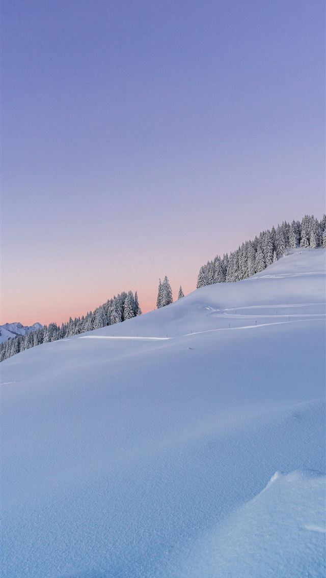 1290x2796 snow covered field and trees under blue sky during... -  iPhone Wallpaper