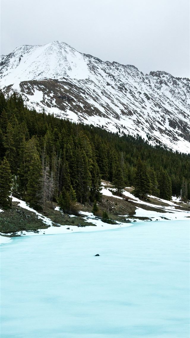 1290x2796 tall trees beside frosted body of water with mount... -  iPhone Wallpaper