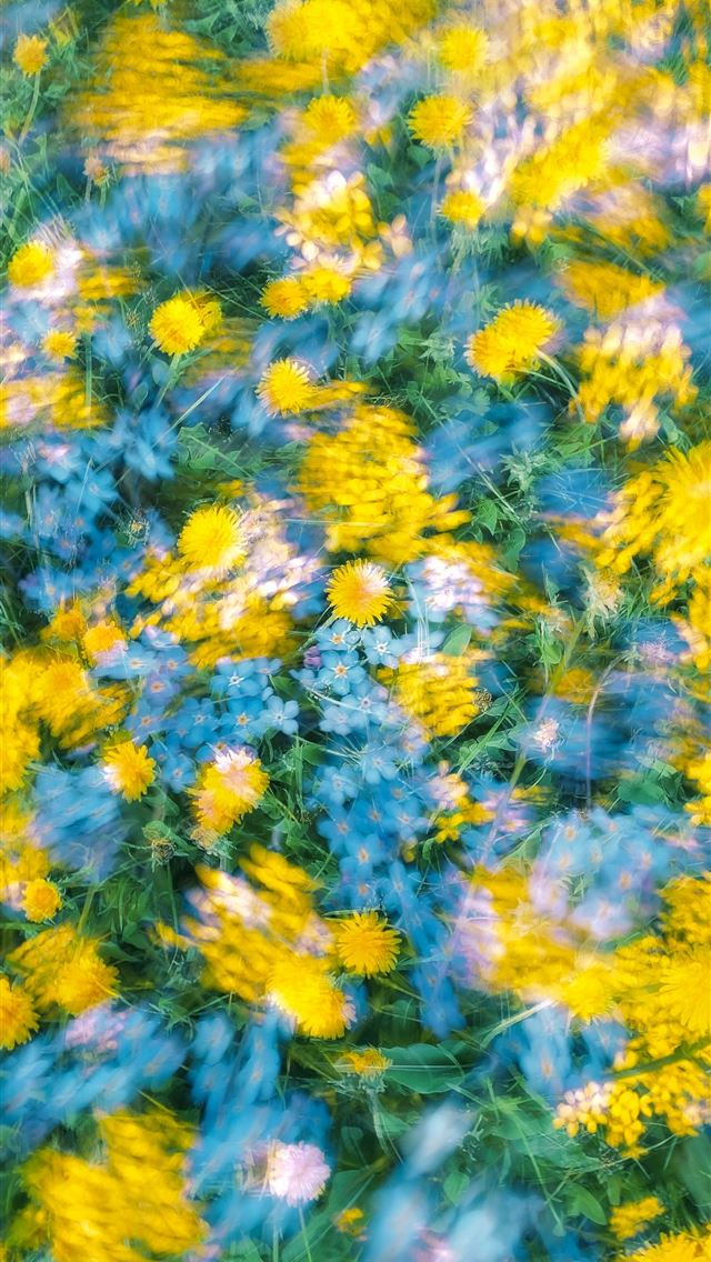 1290x2796 a field full of yellow and blue flowers -  iPhone Wallpaper