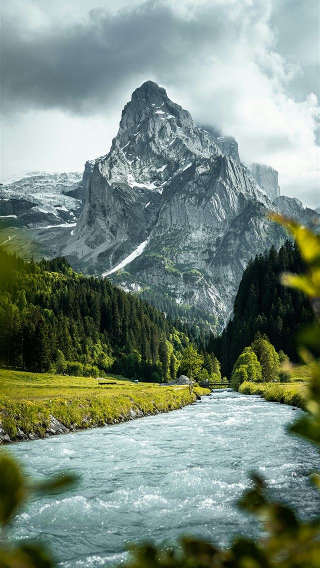 1290x2796 a river running through a lush green forest -  iPhone Wallpaper
