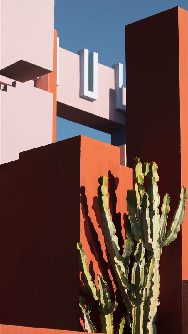1290x2796 a cactus in front of a building with a sky backgro... -  iPhone Wallpaper