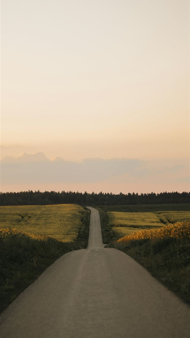 1290x2796 a dirt road in the middle of a field -  iPhone Wallpaper