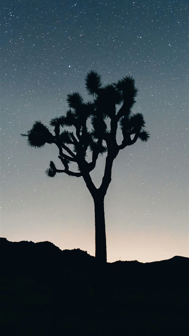 1290x2796 a joshua tree silhouetted against the night sky -  iPhone Wallpaper
