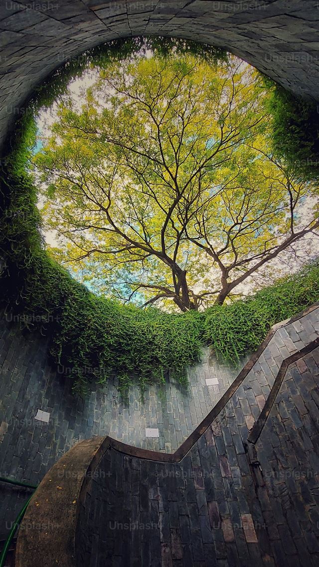 1290x2796 Travel in Singapore The Spiral staircase of underg... -  iPhone Wallpaper