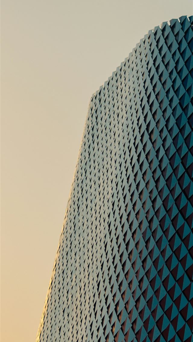 1290x2796 a tall building with a curved top -  iPhone Wallpaper