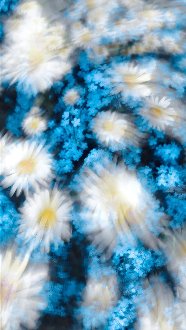 1290x2796 a bunch of white and blue flowers in the air -  iPhone Wallpaper