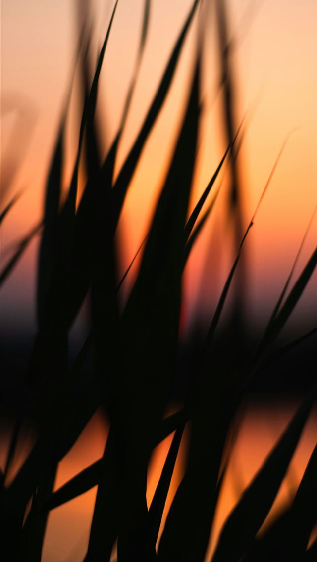 1290x2796 a blurry photo of a sunset over a body of water -  iPhone Wallpaper