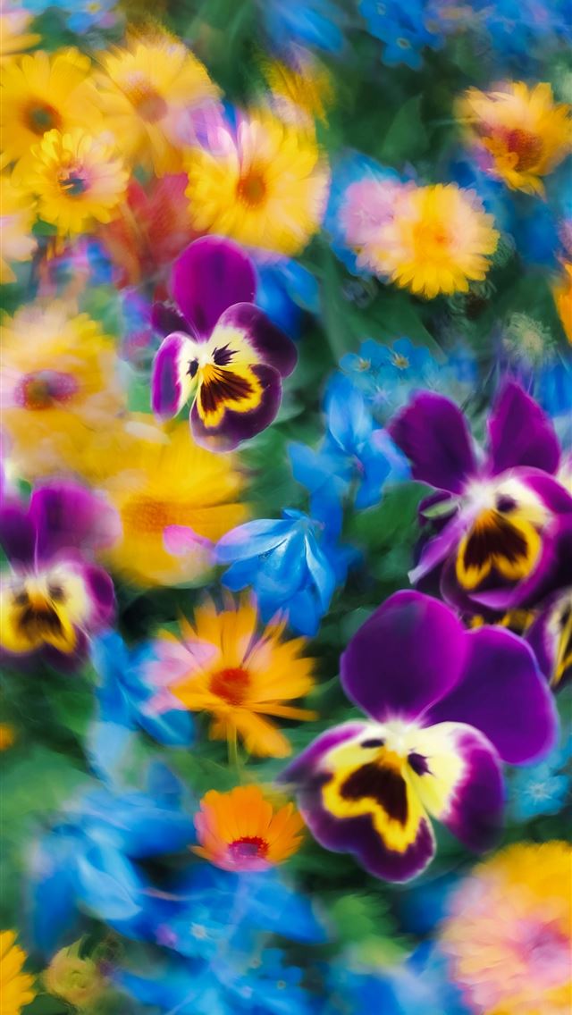 1290x2796 a bunch of flowers that are in the grass -  iPhone Wallpaper