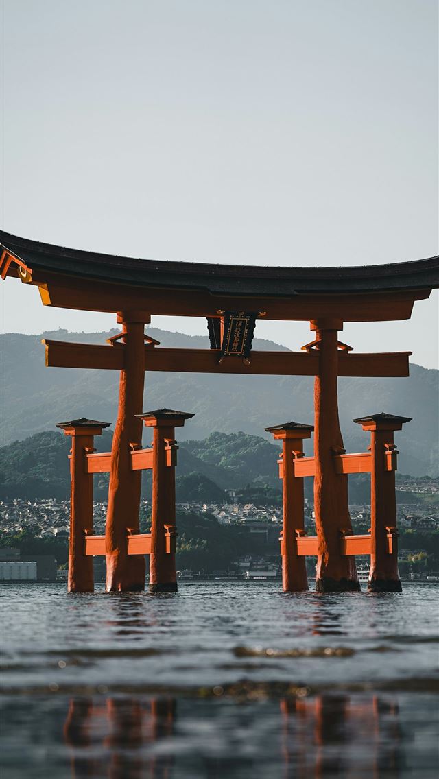 1290x2796 an orange tori tori floating on top of a body of w... -  iPhone Wallpaper