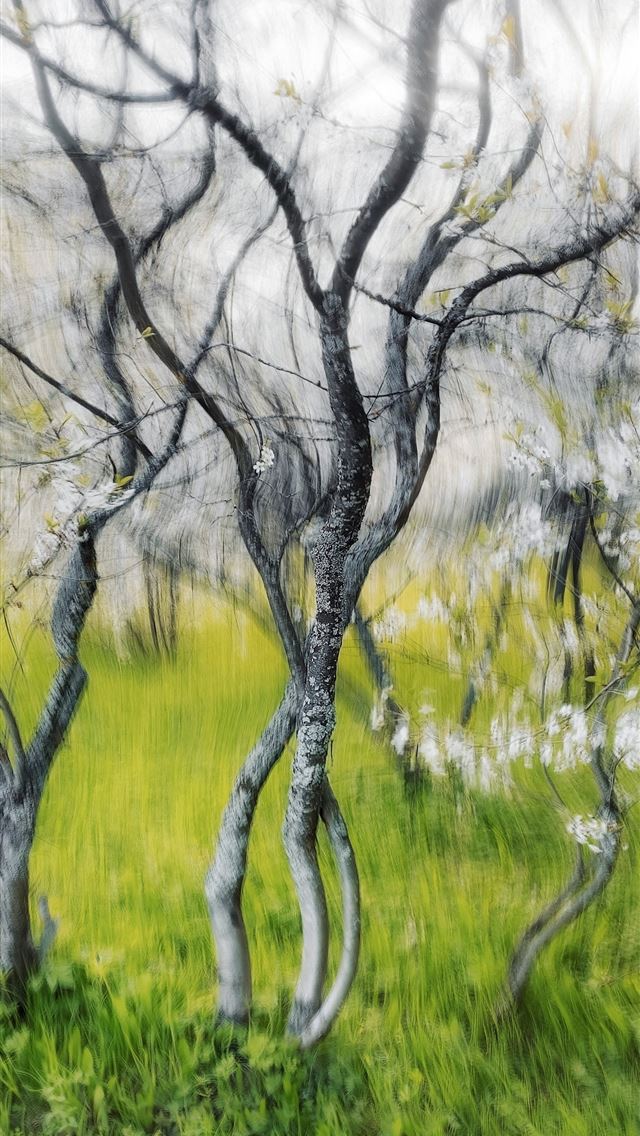 1290x2796 a painting of trees in a grassy field -  iPhone Wallpaper