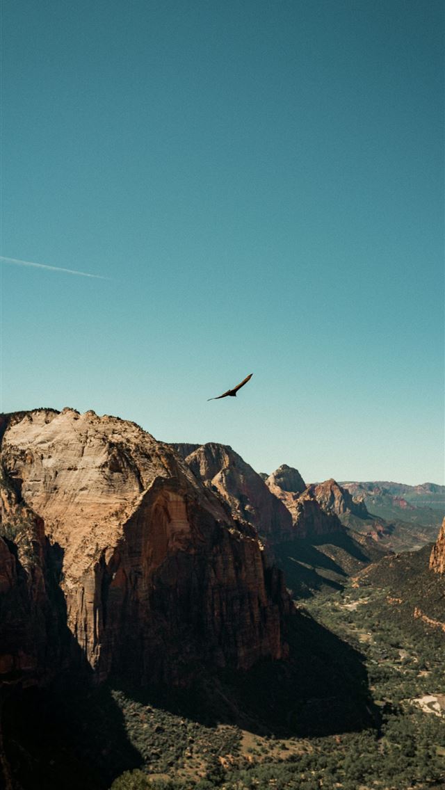 1290x2796 a bird flying over a mountain range in the desert -  iPhone Wallpaper