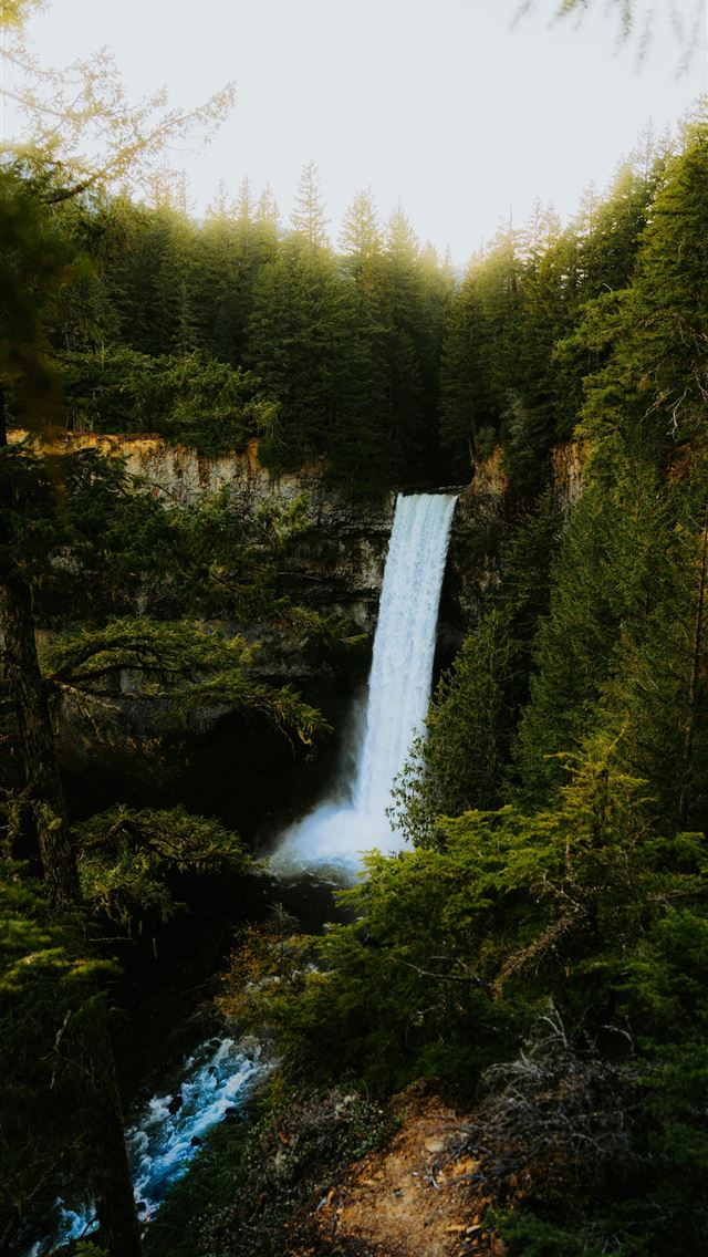 1290x2796 a waterfall in the middle of a forest -  iPhone Wallpaper