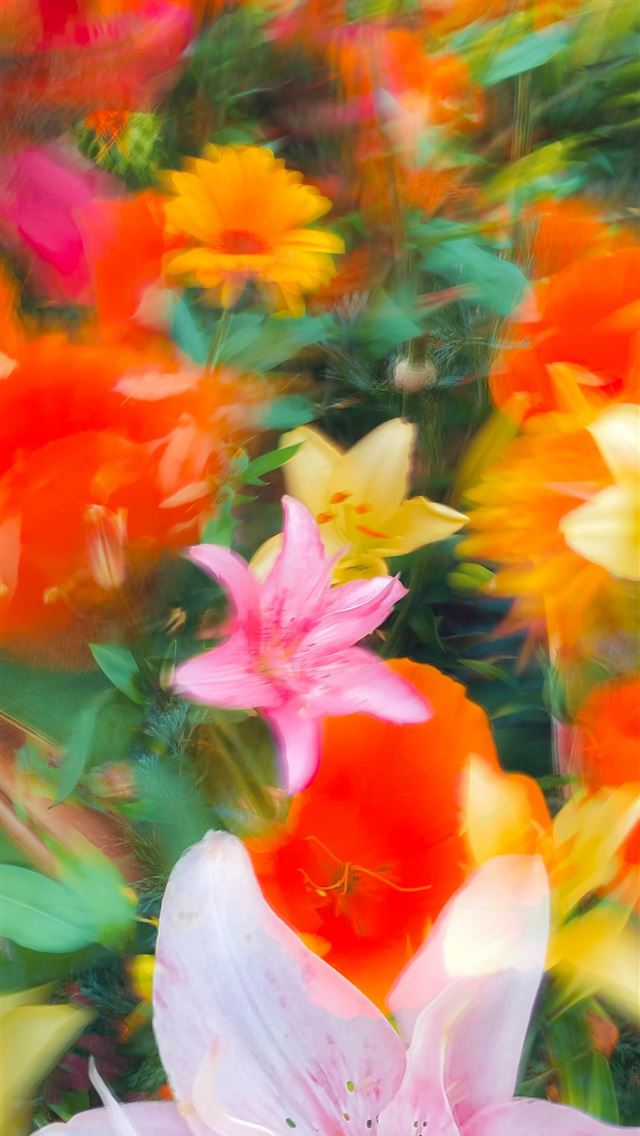 1290x2796 a bunch of flowers that are in the grass -  iPhone Wallpaper
