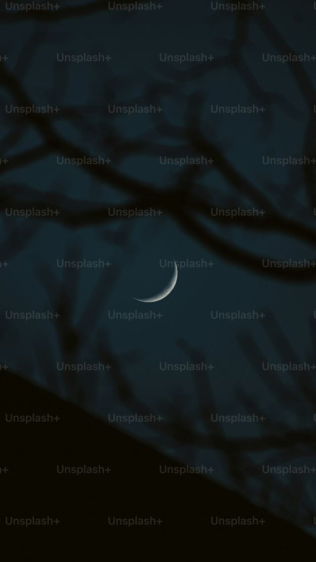 1290x2796 the moon is seen through the branches of a tree -  iPhone Wallpaper