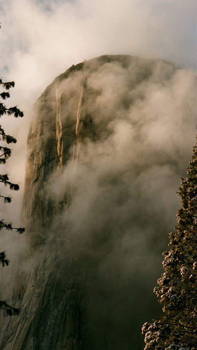 1290x2796 green trees under white clouds -  iPhone Wallpaper