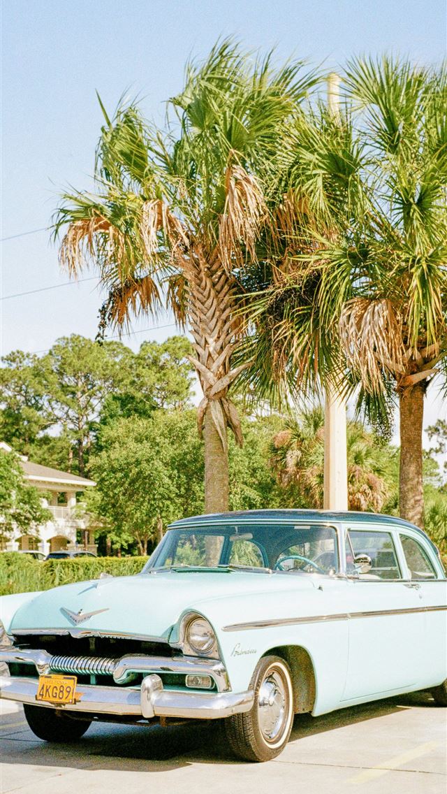 1290x2796 white classic car parked near palm tree during day... -  iPhone Wallpaper
