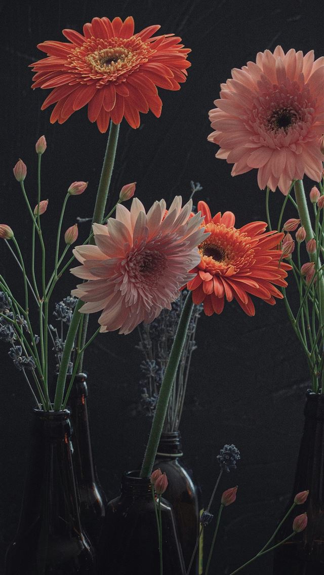 1290x2796 a group of three vases with flowers in them -  iPhone Wallpaper