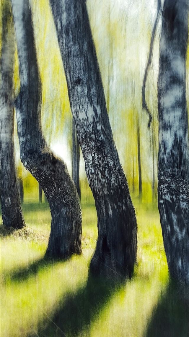 1290x2796 a group of trees that are standing in the grass -  iPhone Wallpaper
