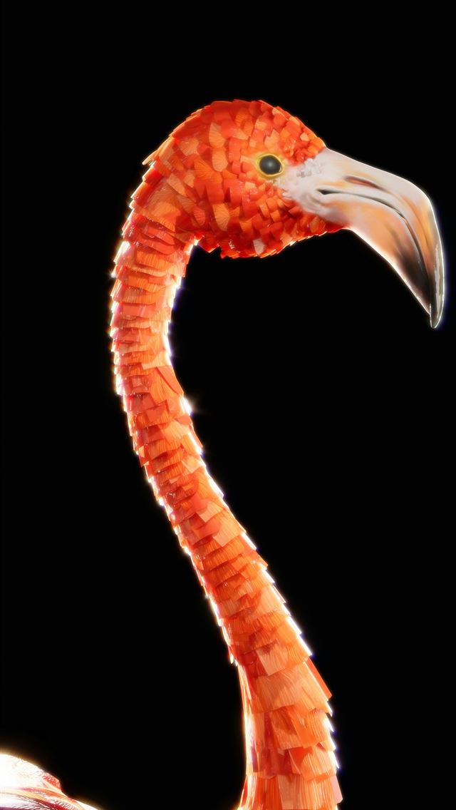 1290x2796 Close up of a vibrant pink flamingo's head and nec... -  iPhone Wallpaper