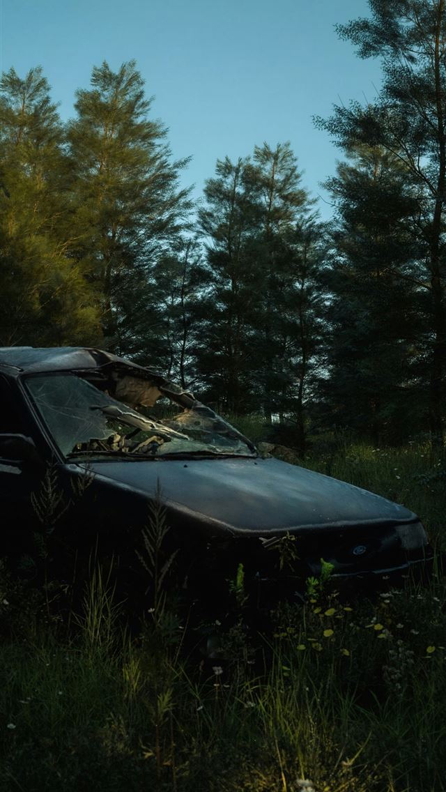 1242x2688 a car that is sitting in the grass -  iPhone Wallpaper