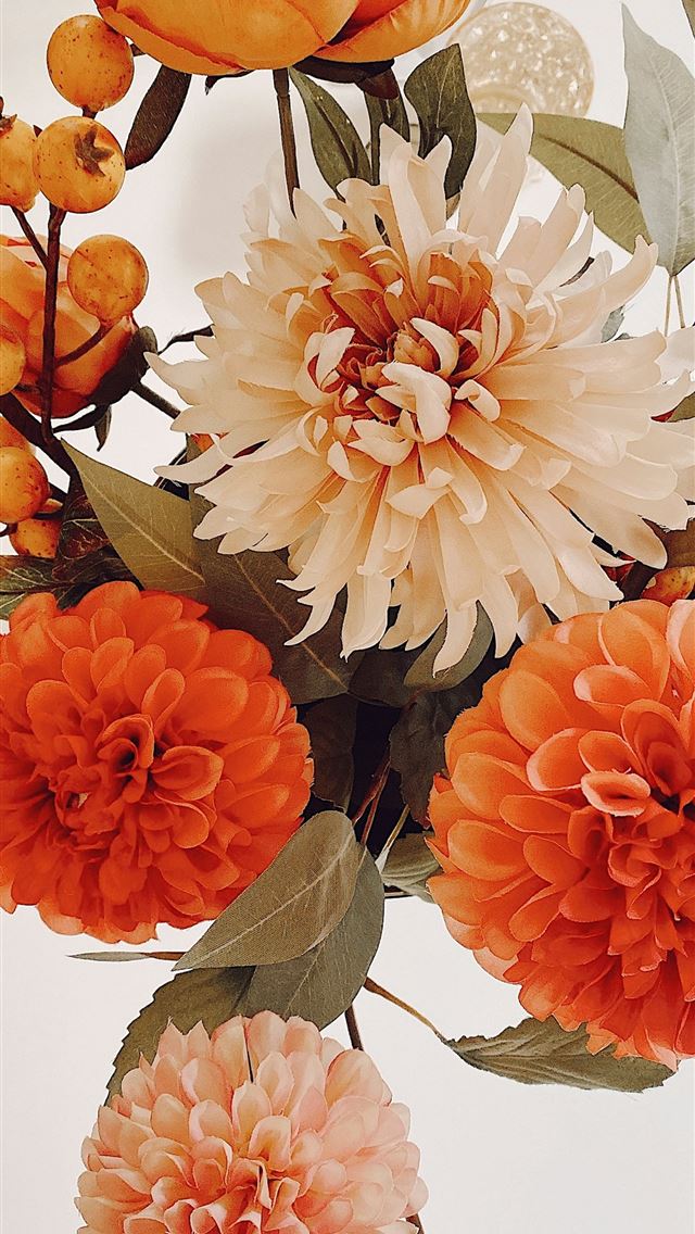 1290x2796 a vase filled with lots of orange and white flower... -  iPhone Wallpaper