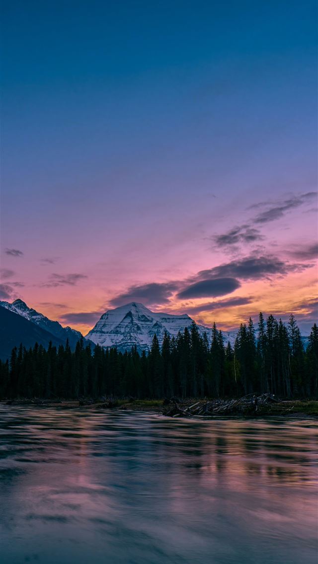 1290x2796 green pine trees near lake during daytime -  iPhone Wallpaper