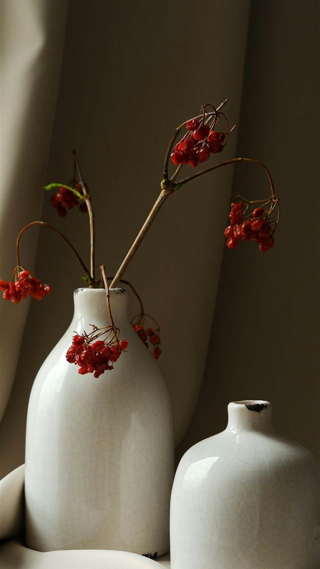 1290x2796 two white vases with red flowers in them -  iPhone Wallpaper