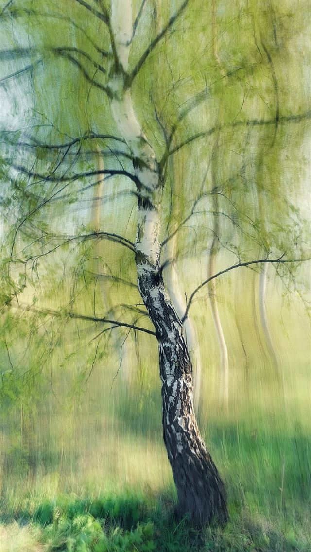 1290x2796 a painting of a tree in a grassy field -  iPhone Wallpaper