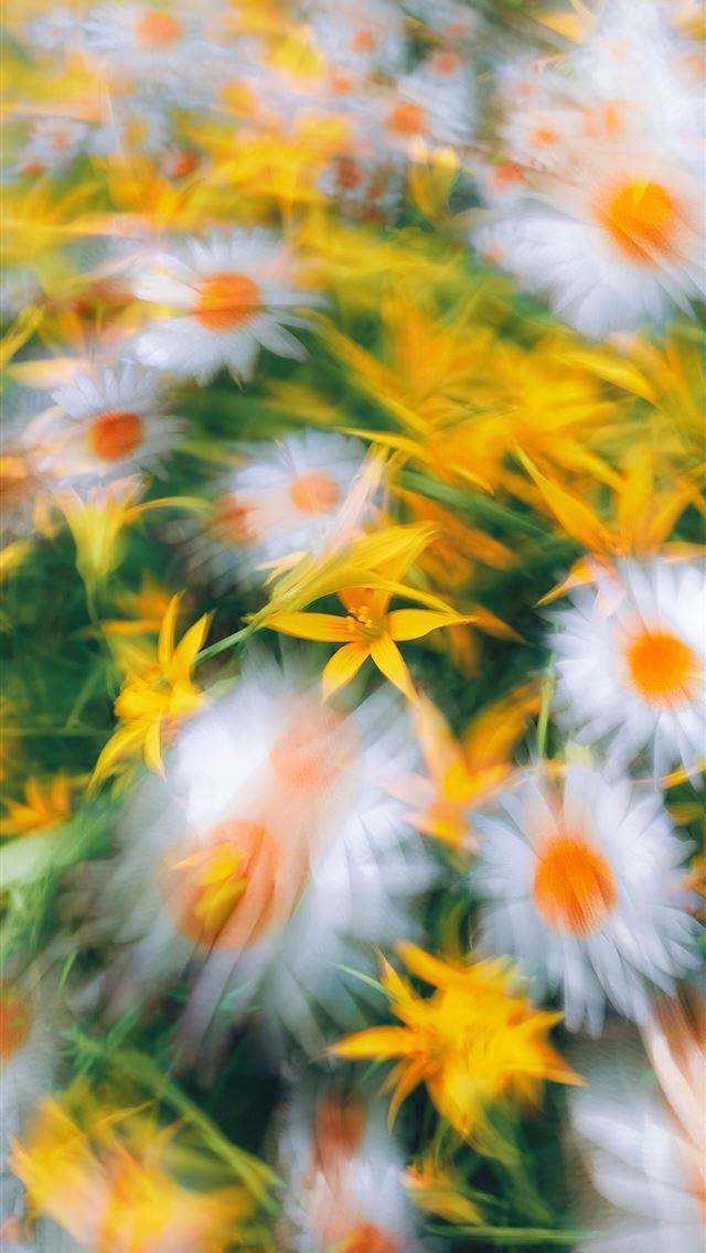 1290x2796 a bunch of flowers that are in the grass -  iPhone Wallpaper