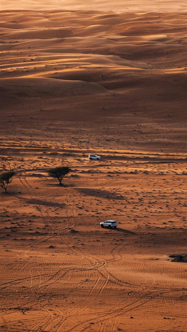 1290x2796 birds on desert during daytime -  iPhone Wallpaper