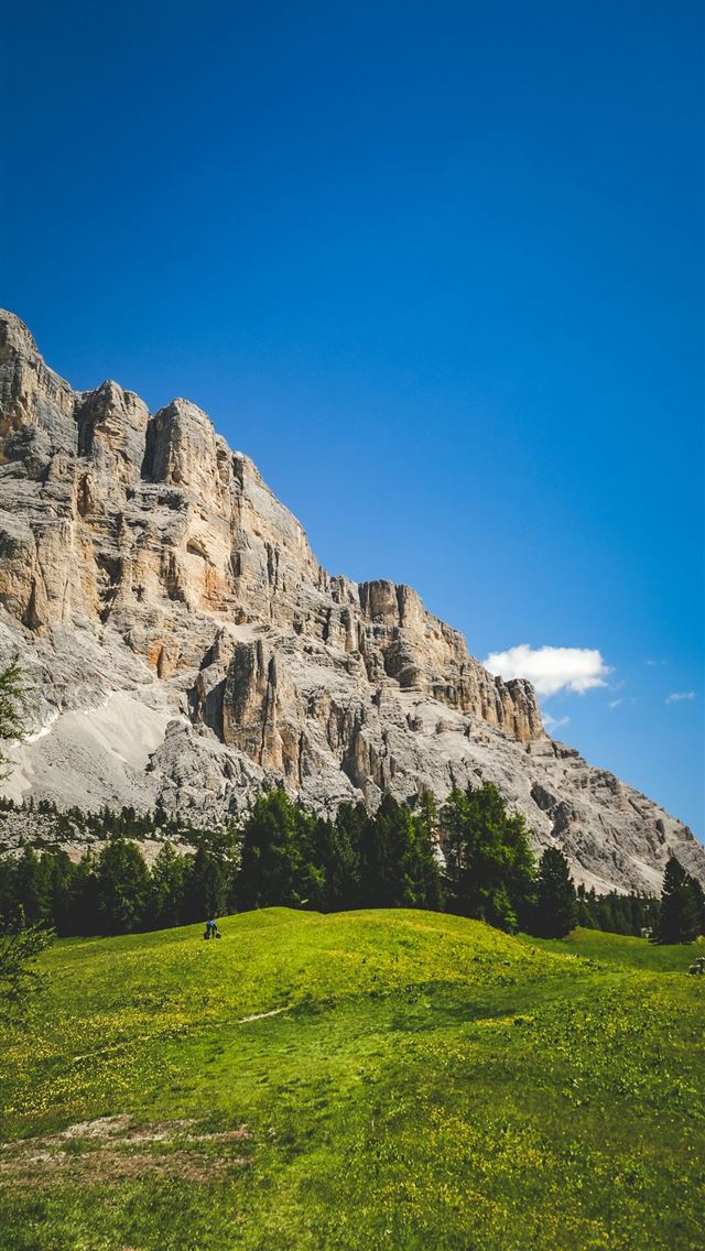 1290x2796 A grassy field with a mountain in the background -  iPhone Wallpaper
