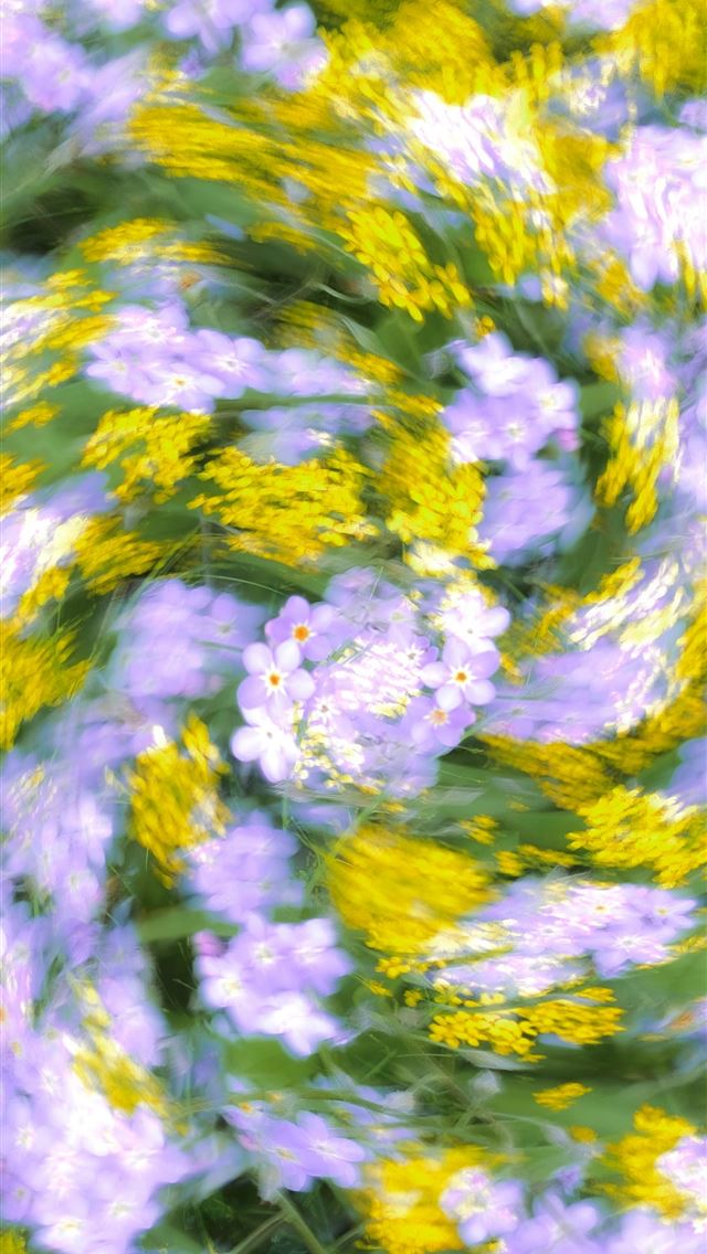 1290x2796 a bunch of flowers that are in the grass -  iPhone Wallpaper
