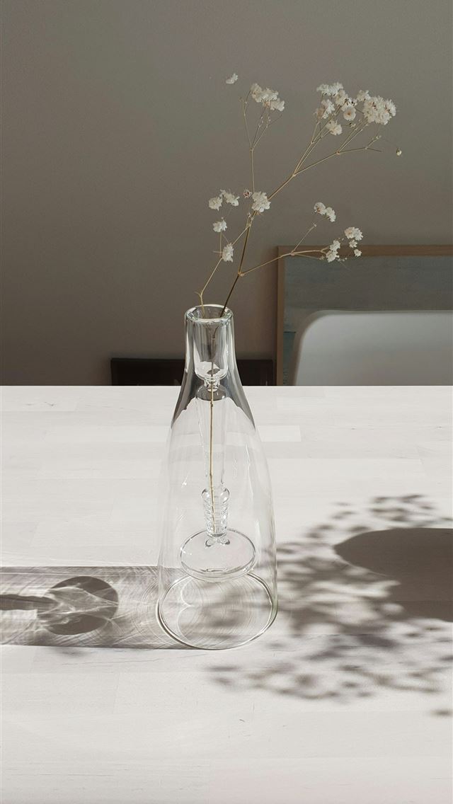 1290x2796 clear glass vase -  iPhone Wallpaper