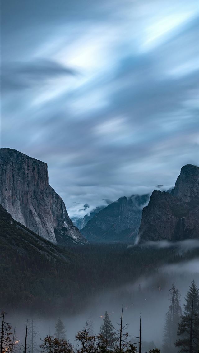 1290x2796 photography of trees and mountain under white sky -  iPhone Wallpaper