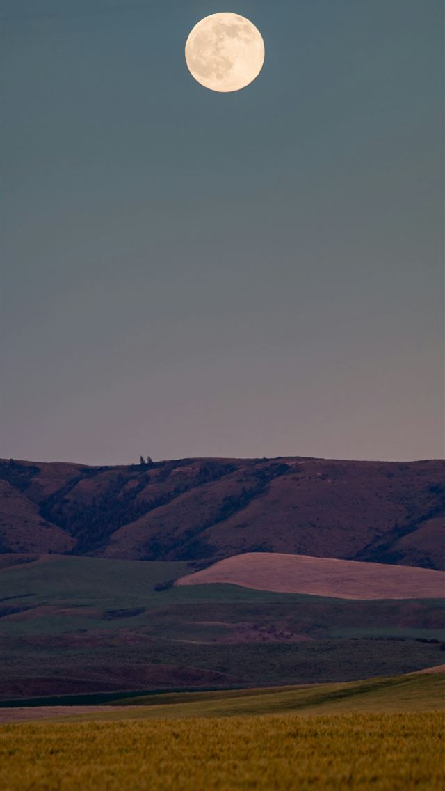 1290x2796 full moon over brown mountains -  iPhone Wallpaper