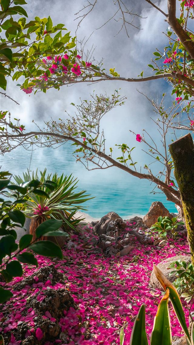 1290x2796 green tree near body of water -  iPhone Wallpaper