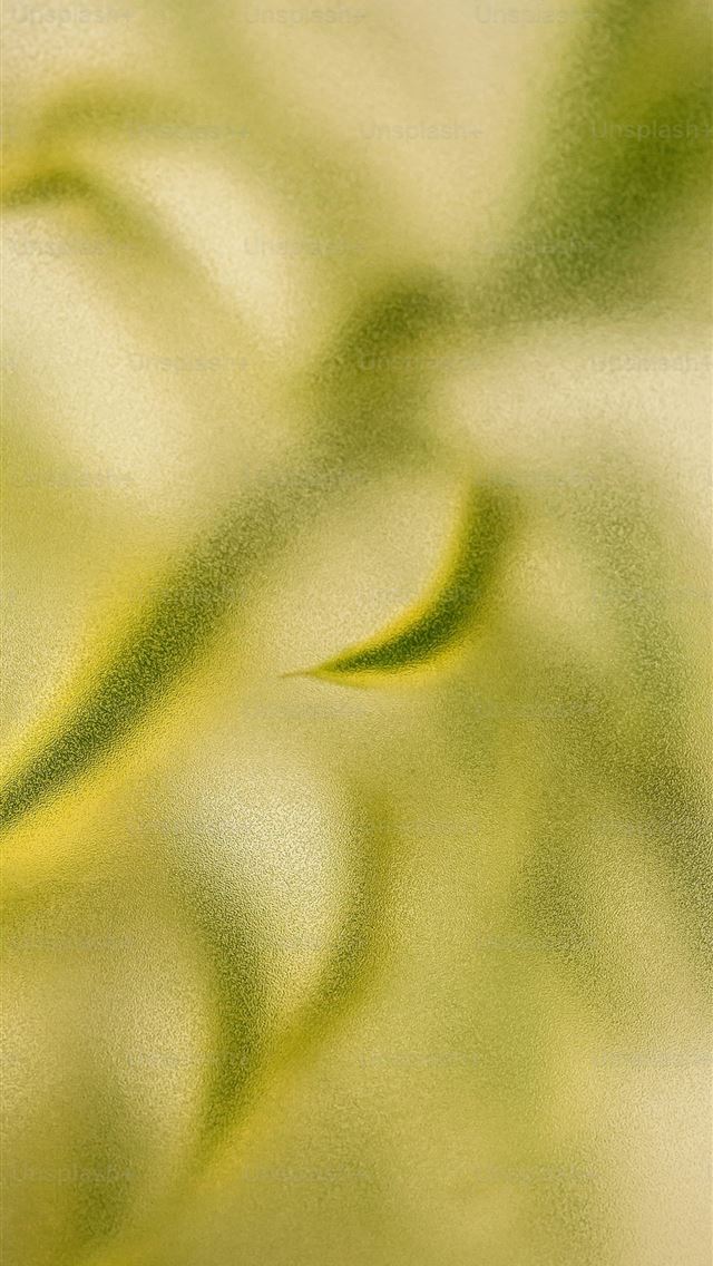 1290x2796 a blurry photo of a plant with green leaves - light iPhone Wallpaper