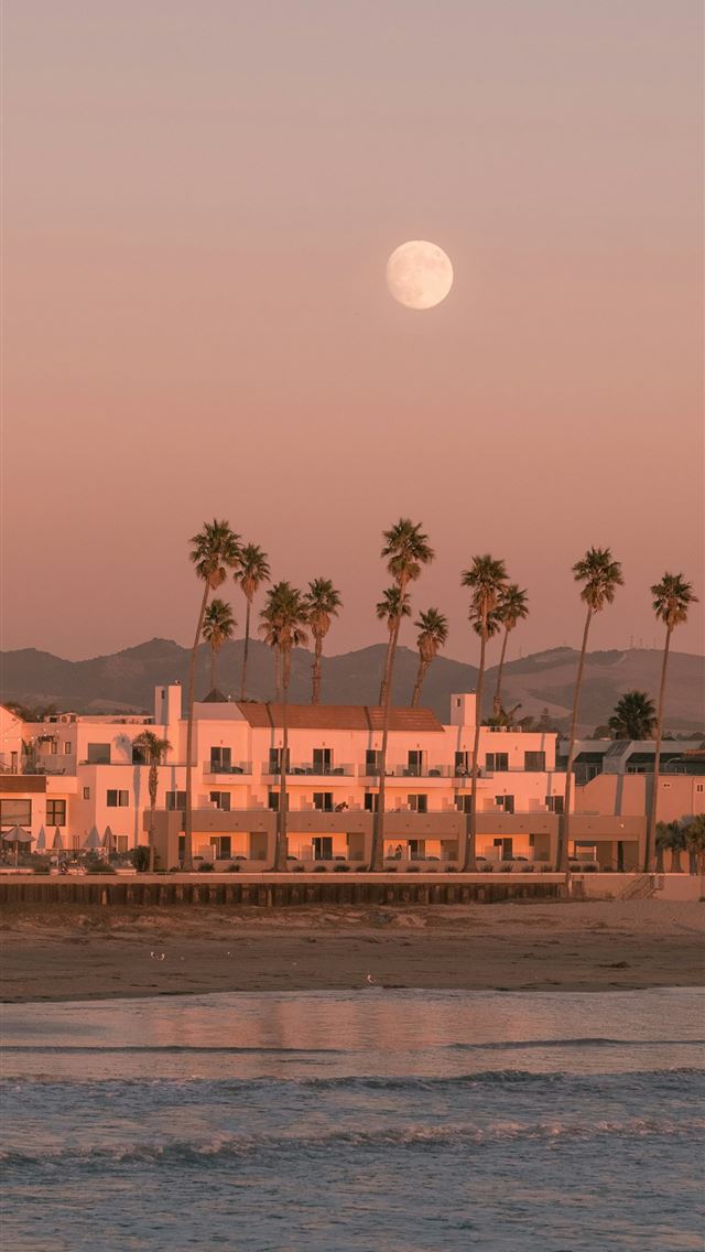 1290x2796 a full moon rising over a beach with palm trees - grey iPhone Wallpaper