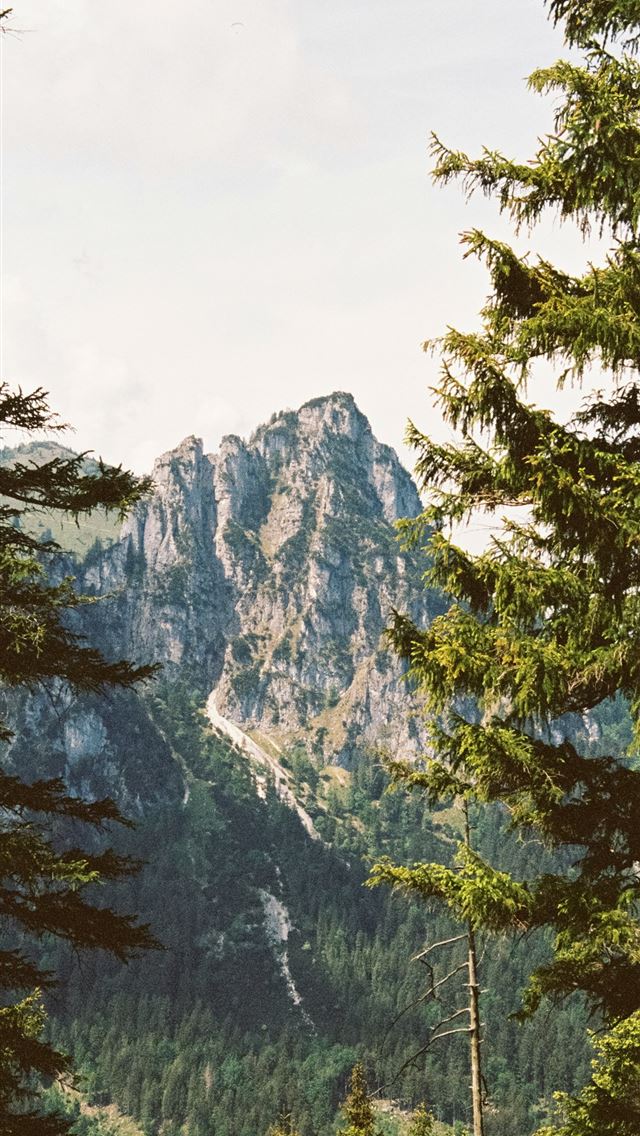 1290x2796 mountain with trees photo -  iPhone Wallpaper