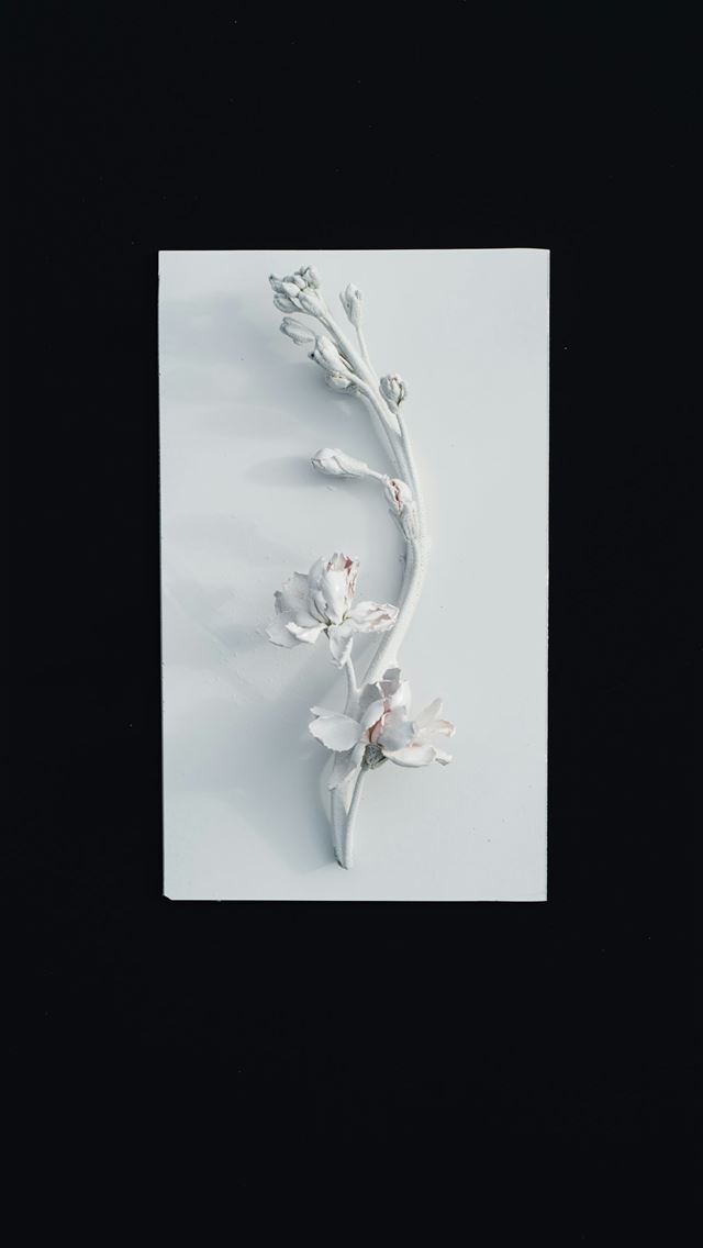 1290x2796 white decorative floewr -  iPhone Wallpaper