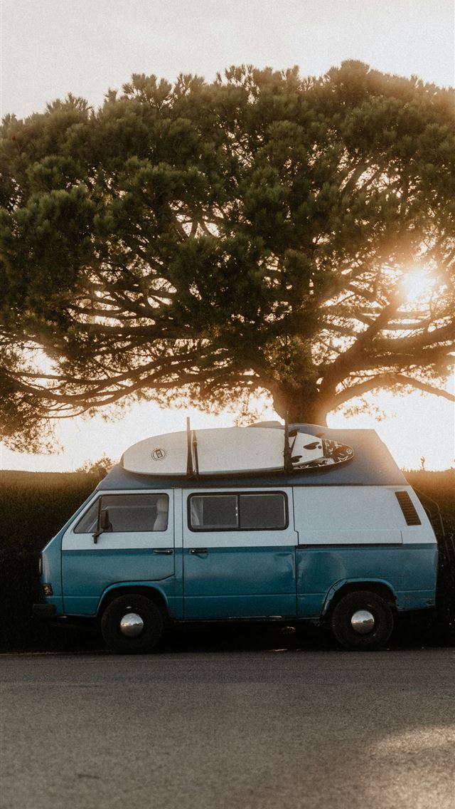 1290x2796 a blue van parked next to a large tree -  iPhone Wallpaper
