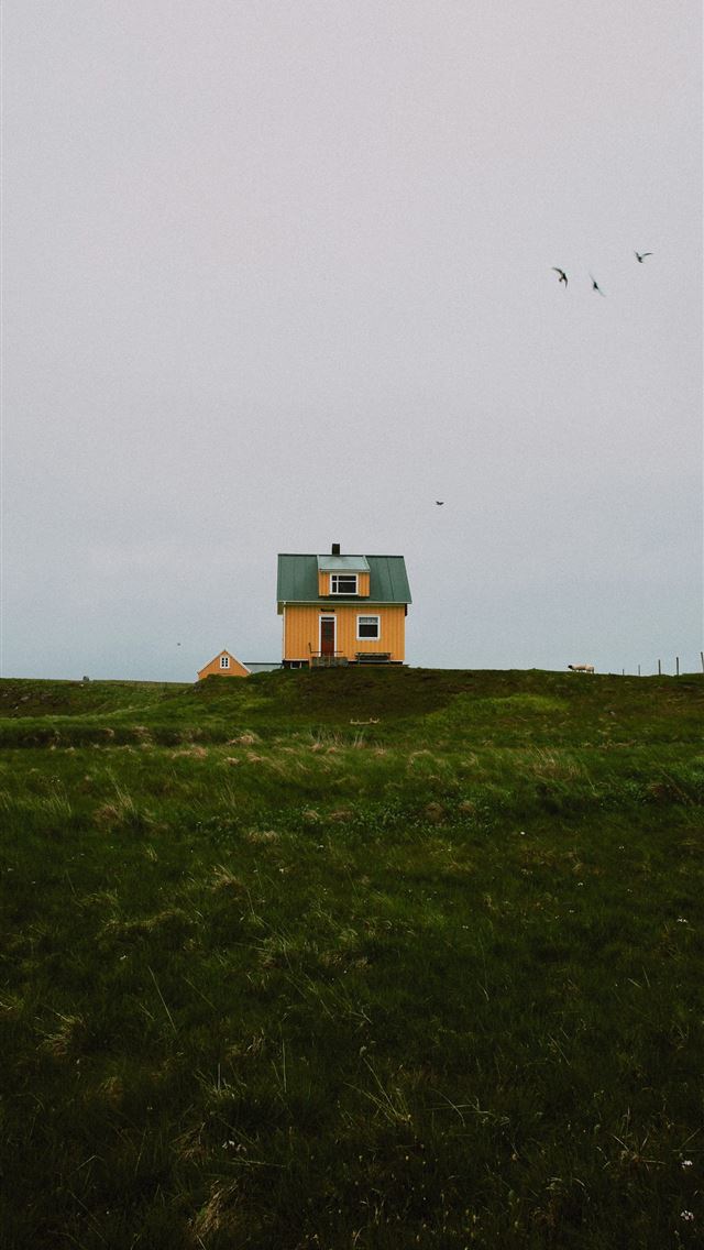 1290x2796 house on green grass land - iceland iPhone Wallpaper