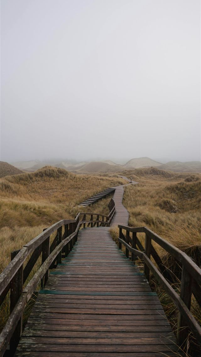 1290x2796 a wooden walkway leading to a grassy field - wood iPhone Wallpaper