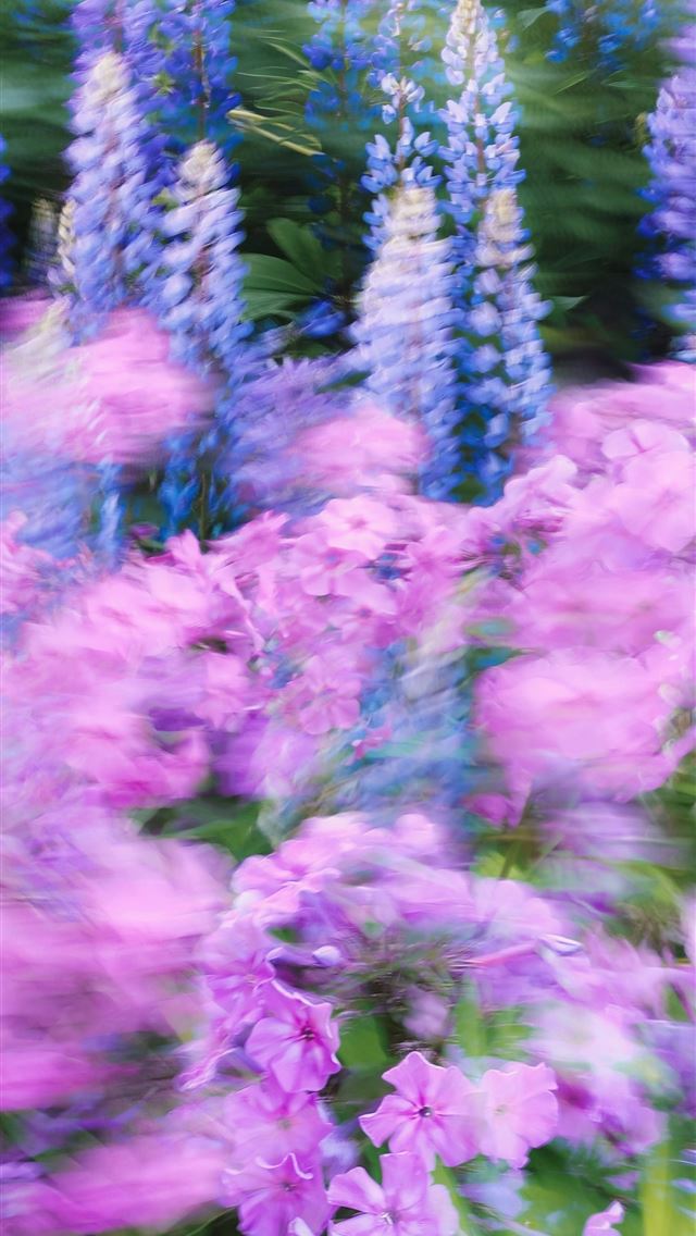 1290x2796 a bunch of flowers that are in the grass - experimental iPhone Wallpaper