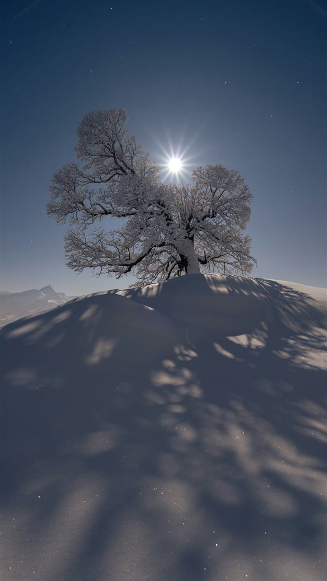 1290x2796 A snow covered hill with a tree on top of it - stars iPhone Wallpaper