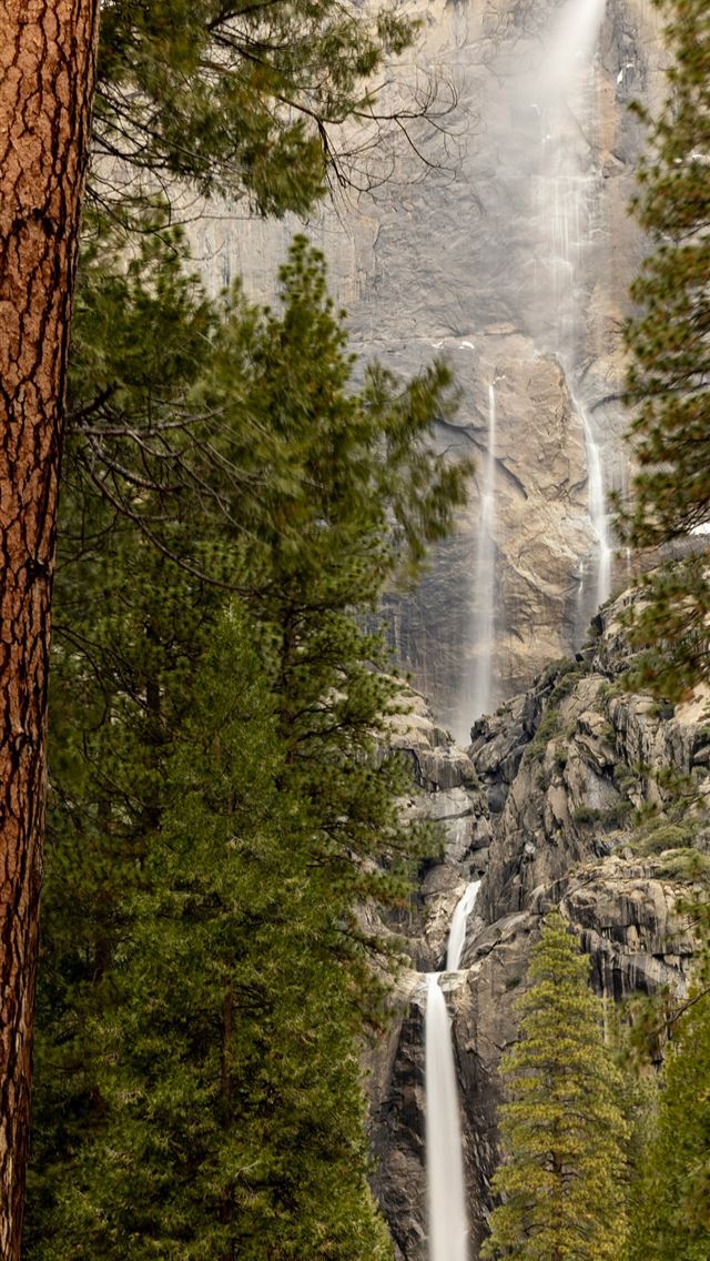 1290x2796 a tall waterfall in the middle of a forest -  iPhone Wallpaper