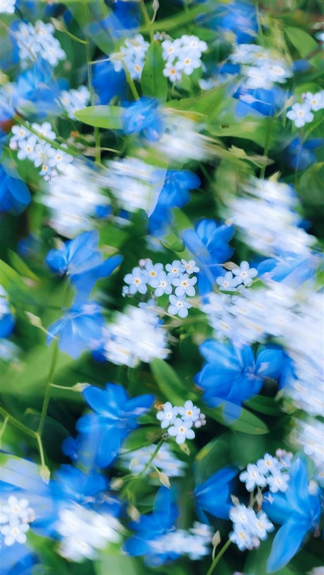 1290x2796 a bunch of blue and white flowers with green leave... - experimental iPhone Wallpaper