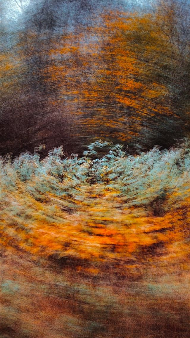 1290x2796 a blurry photo of a forest filled with trees - abstract art iPhone Wallpaper