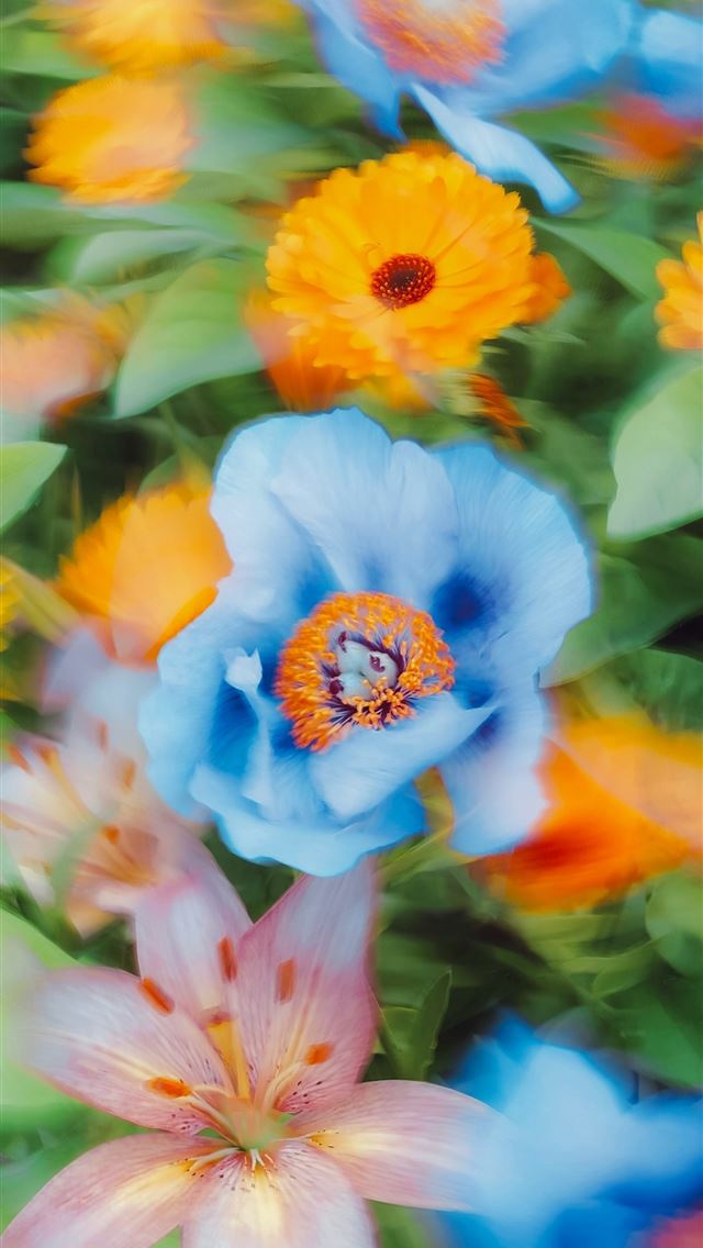 1290x2796 a bunch of flowers that are in the grass - spring flowers iPhone Wallpaper